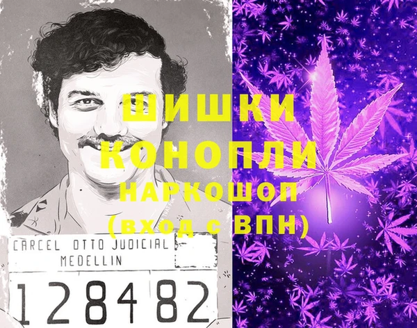 гашик Медногорск