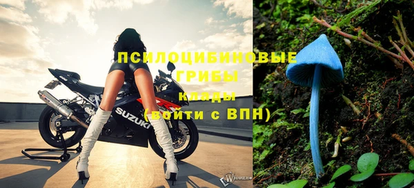 гашик Медногорск