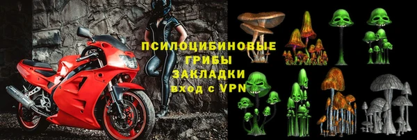 тгк Мегион