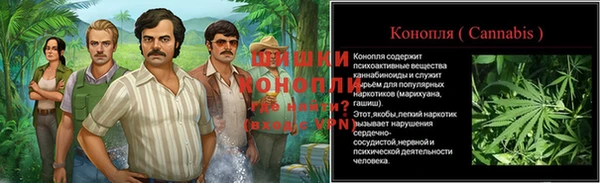 дмт Медвежьегорск